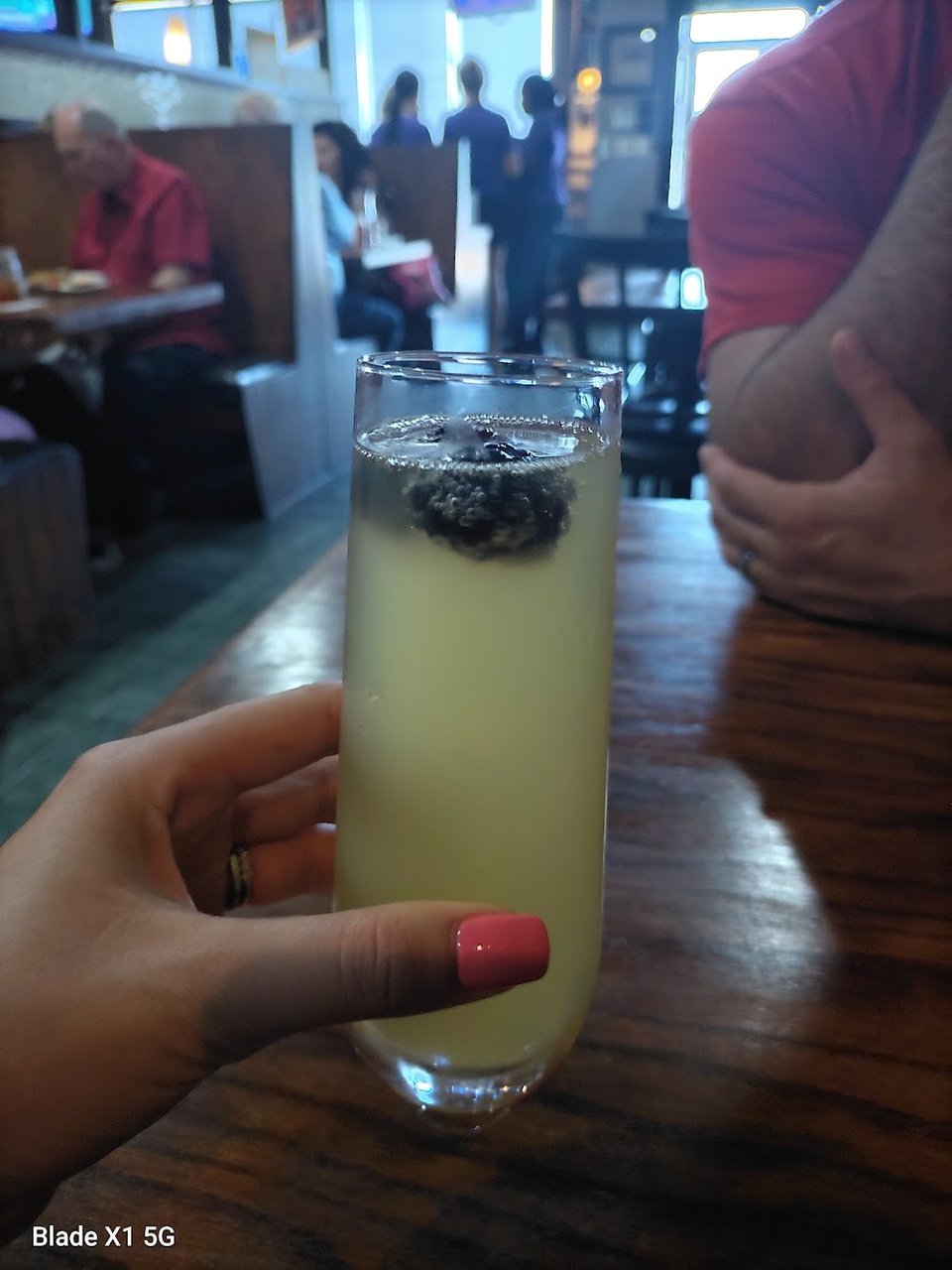 Mimosa